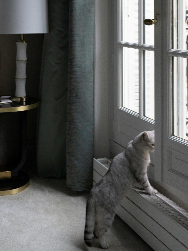 Design sans titre (1)